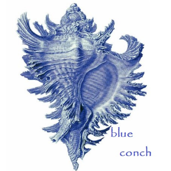 blue_conch